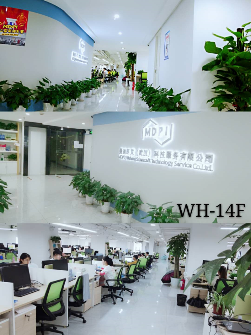 曼迪匹艾武汉科技服务有限公司